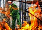 Australia: ewakuacja z terenów zagrożonych pożarami