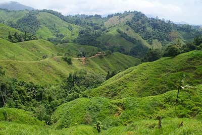 Trekking do Ciudad Perdida - Zaginionego Miasta w Kolumbii. Trekking do Ciudad Perdida - Zaginionego Miasta w Kolumbii.