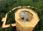 Czechy: spacer wśród koron drzew