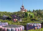 Milioner zaszalał w Disneylandzie