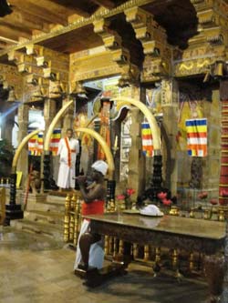 W Sanktuarium Zęba Buddy