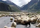 Kazbegi - gruziński raj dla miłośników gór
