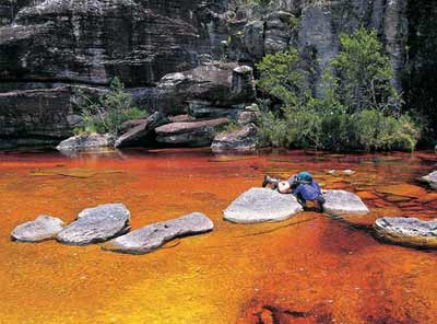 Tepuyes wznoszą się głównie na terenie Wielkiej Sawanny, wchodzącej w skład Parku Narodowego Canaima. (fot. Ministerio De Turismo De Venezuela)