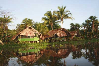 Orinoco Delta Lodge - wzniesiono tu 37 komfortowych chat dla turystów (fot. Magazyn All inclusive) Orinoco Delta Lodge - wzniesiono tu 37 komfortowych chat dla turystów (fot. Magazyn All inclusive)