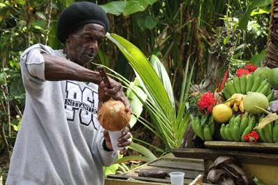 Kokosy, limonki, banany, ananasy czy kawa z Prospect Plantation (fot. Paweł Pakieła) Kokosy, limonki, banany, ananasy czy kawa z Prospect Plantation (fot. Paweł Pakieła)
