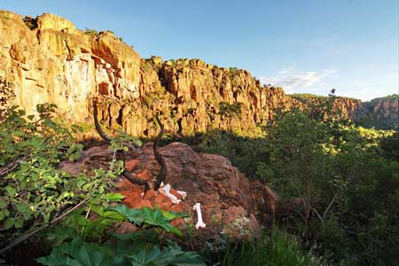 Płaskowyż Waterberg słynie z ponad 200 gatunków ptaków (fot. waterberg-wilderness.com)