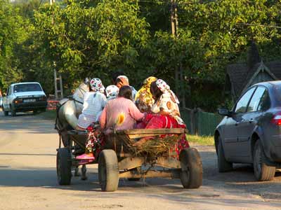 Wozy zaprzęgnięte w Konie