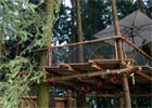 Krosno będzie miało linowy park przygody