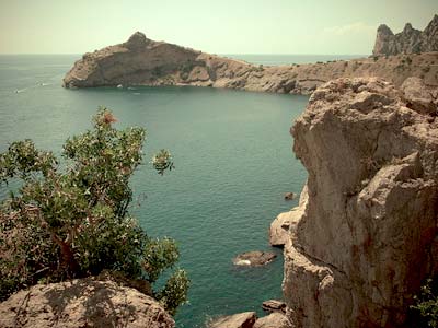 W rezerwacie przyrody Novi Svit na Ukrainie W rezerwacie przyrody Novi Svit na Ukrainie