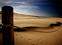 Ruchome wydmy w Słowińskim Parku Narodowym