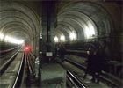 Łoś zablokował ruch pociągów w centrum Oslo