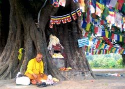 Mnich przyjmujący dary