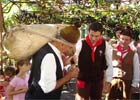 Festiwal Wina na Maderze