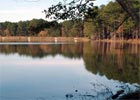 Mazury wśród cudów świata?