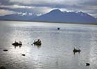 Patagonia szlakiem przygody - jak zwiedzić Patagonię i nie zwariować