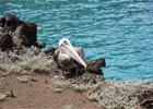 Podróż na Galapagos