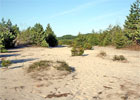 Pustynia Błędowska - polska Sahara