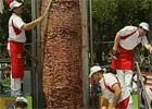Turcy upiekli największy kebab świata