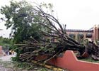 Włochy: trąba powietrzna w Rzymie
