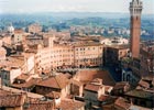Siena - co warto zobaczyć?