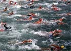 Australia: triathlon między rekinami