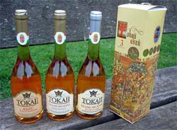 Rodzaje wina Tokaj