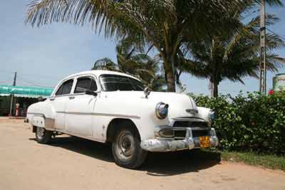 Takie okazy spotkamy na Kubie na każdym kroku. Takie okazy spotkamy na <a href='kraj,kuba,75.html
'>Kubie</a> na każdym kroku.