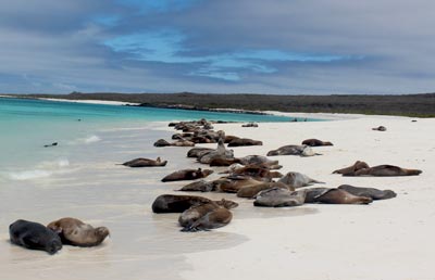 Naturalne piękno Galapagos