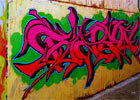 Walka z wulgarnym graffiti.