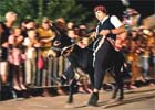 Wyścigi dalmatyńskich tovarów w Tribunju