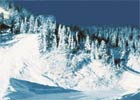 Yeti istnieje na 95 procent?