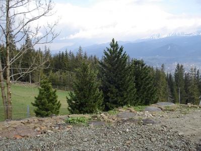 Zdjęcie z Polski - Tatry