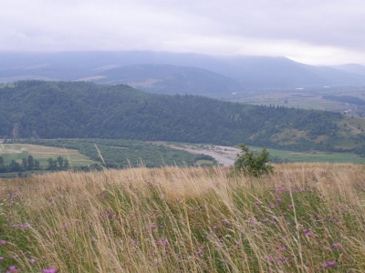 Zdjęcie z Ukrainy - 