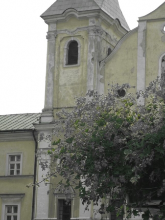 Zdjęcie ze Słowacji - Żlina
