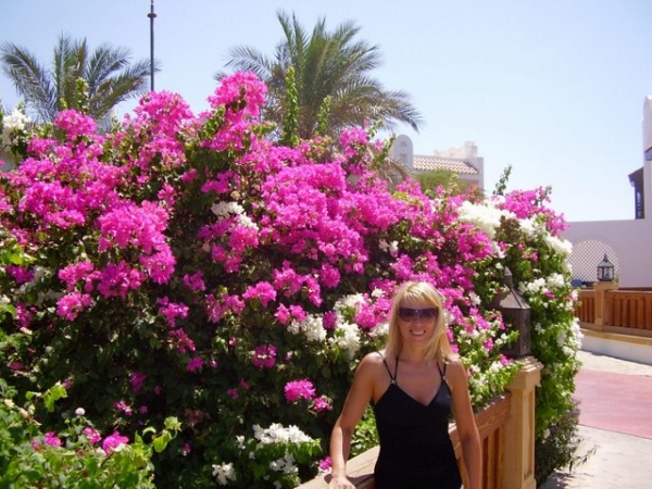 Zdjęcie z Egiptu - Sharm el Sheikh
