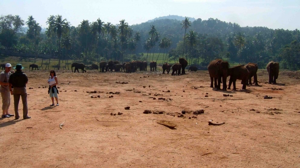 Zdjęcie ze Sri Lanki - 