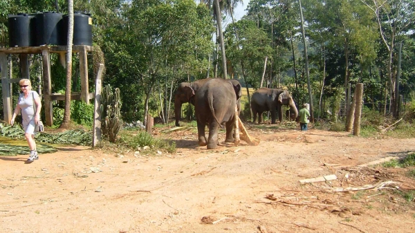 Zdjęcie ze Sri Lanki - 