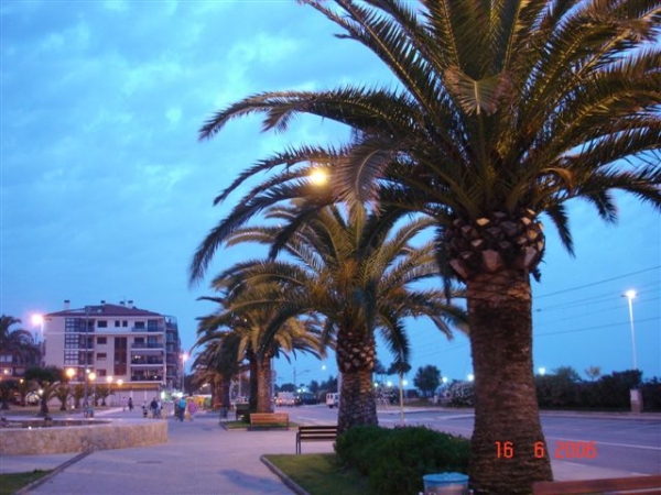 Zdjęcie z Hiszpanii - Pineda de Mar