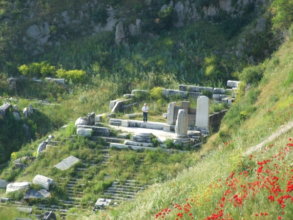 Zdjęcie z Turcji - Pergamon