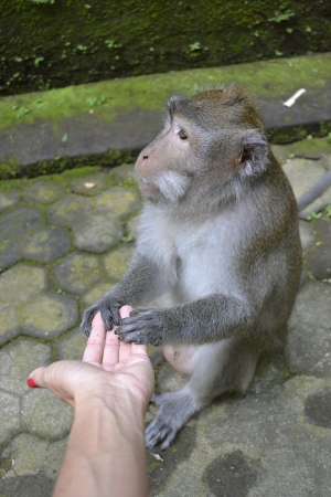 Zdjęcie z Indonezji - ;)