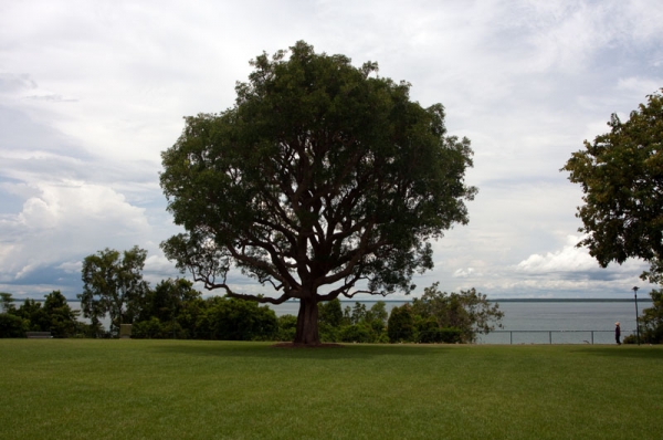 Zdjęcie z Australii - DARWIN