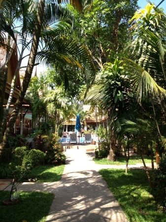 Zdjęcie z Tajlandii - Nasz hotelik na Phuket