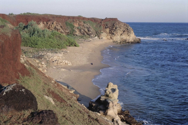 Zdjęcie ze Sri Lanki - cejlonskie wybrzeze