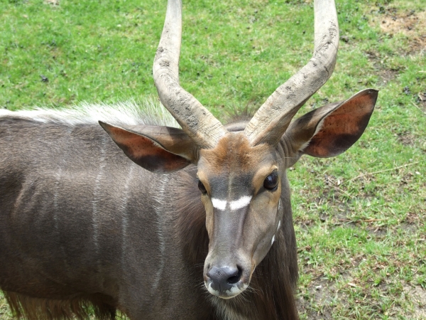 Zdjęcie z Polski - w zoo