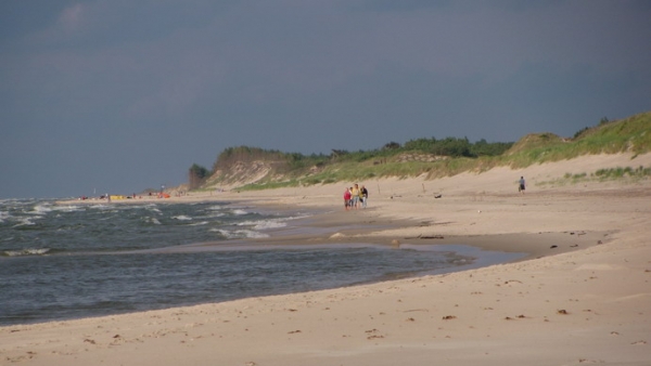 Zdjęcie z Polski - Dzikie plaże parku.