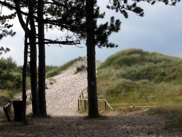 Zdjęcie z Polski - Wejście na dziką plażę...