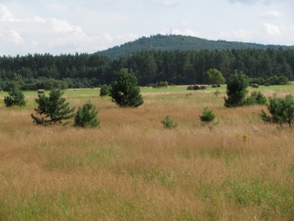 Zdjęcie z Polski - Okolice Smołdzina.