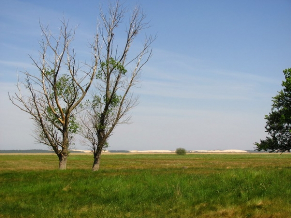 Zdjęcie z Polski - Kluki - widok na wydmy.