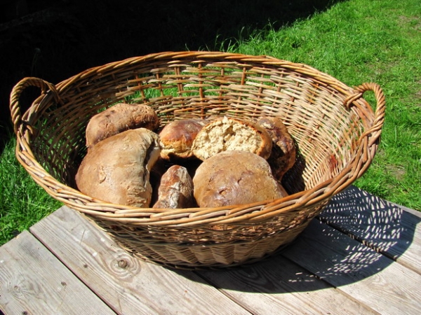 Zdjęcie z Polski - Kluki - skansen.