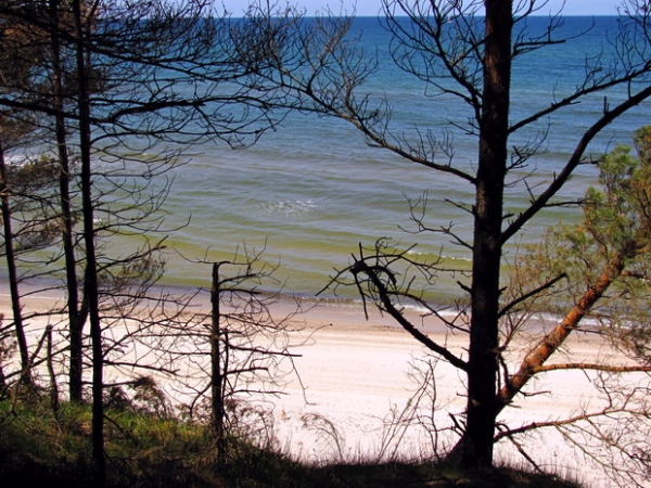 Zdjęcie z Polski - Plaża w Czołpinie.